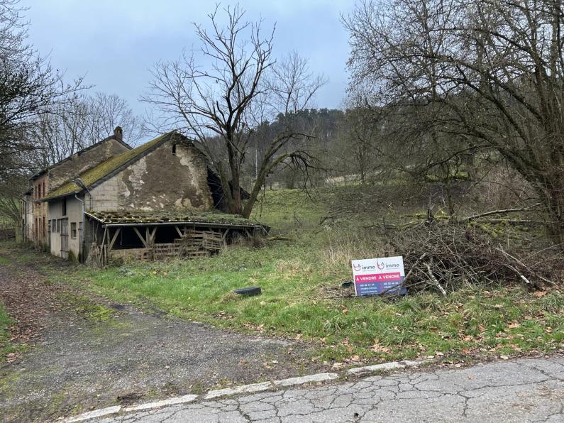 Verkauf eines außergewöhnlichen Grundstücks in Hunsdorf - Bild #2 Verkauf eines außergewöhnlichen Grundstücks in Hunsdorf - Bild #2