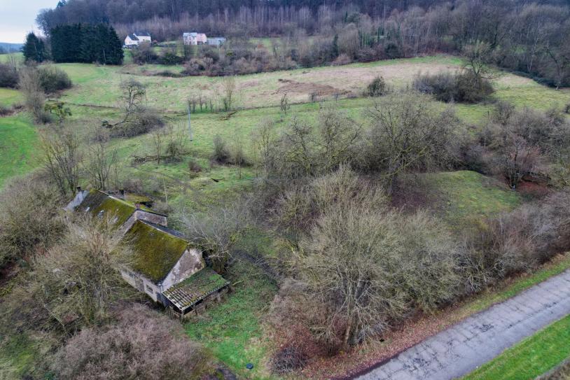 Verkauf eines außergewöhnlichen Grundstücks in Hunsdorf - Bild #8 Verkauf eines außergewöhnlichen Grundstücks in Hunsdorf - Bild #8