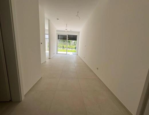 Image - Image #4