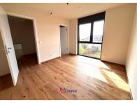 Cepheus – Exceptional Homes, Absolute Refinement - Image #5