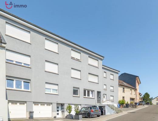 Image - Image #12