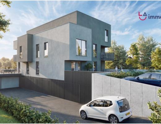 Image - Image #4